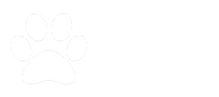 CAPI 2.0